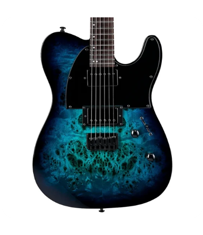 LTD Guitarra Eléctrica TE-200DX Blue Burst