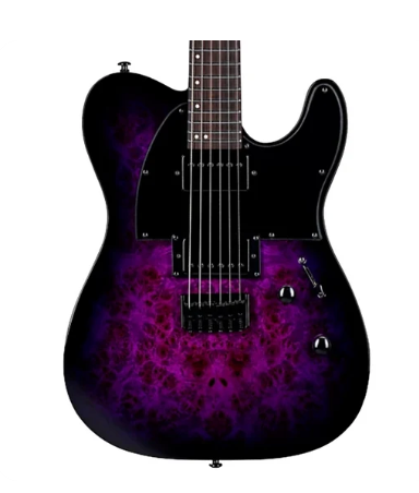 LTD Guitarra Eléctrica TE-200DX Purple Burst